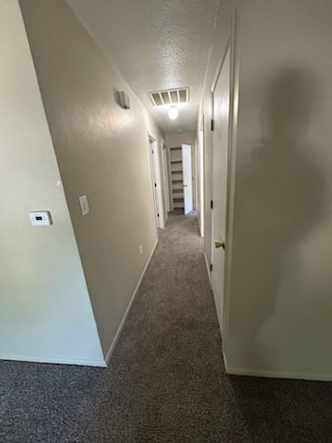 Building Photo - Three bed, one bath