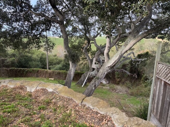 Building Photo - Oak Hills (15425)