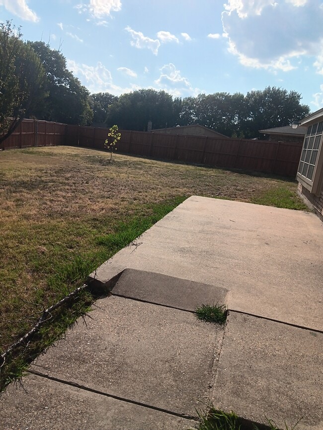 Building Photo - 807 Timberline Ct