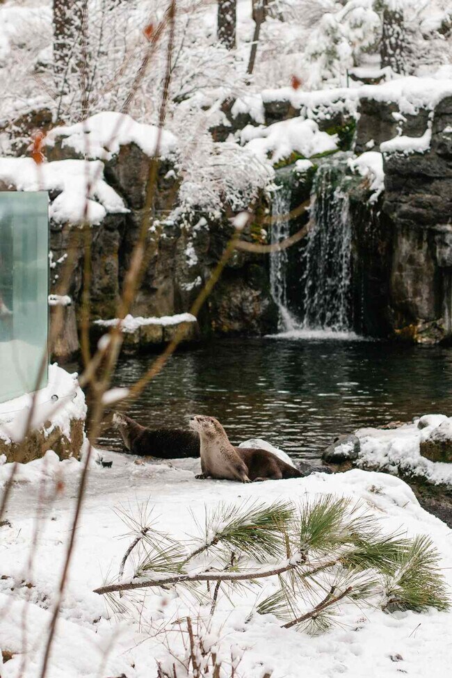 Building Photo - 60289 Cinder Butte Rd