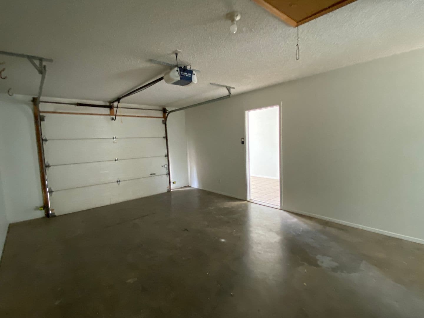 Building Photo - 1469 Timbercrest Ave