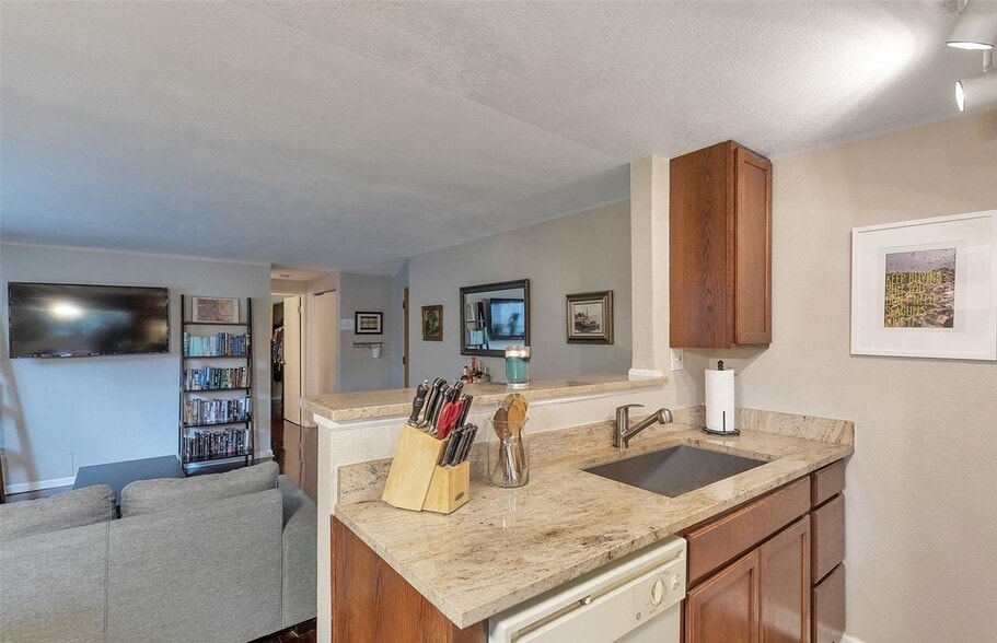 Kitchen counter / Living room. Example prior furnishing. Please note that the condo is un furnished. - 200 Sherman St