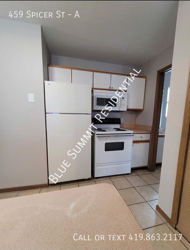 Building Photo - 459 Spicer Street