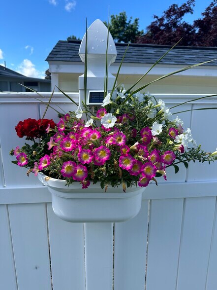 Building Photo - 33 Windhurst Ave