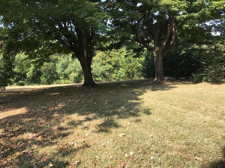 Huge back yard - 526 Monroe St