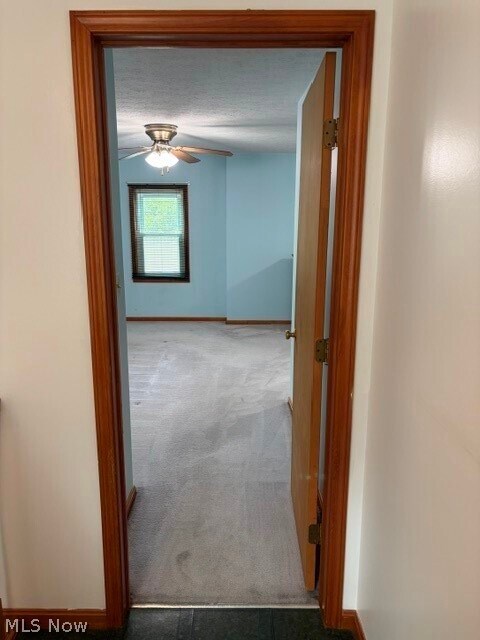 Building Photo - 5675 S Park Blvd