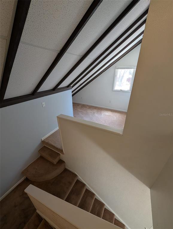 Building Photo - 12310 Touchton Dr