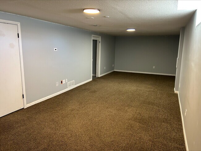Basement - 1308 E Catalina St