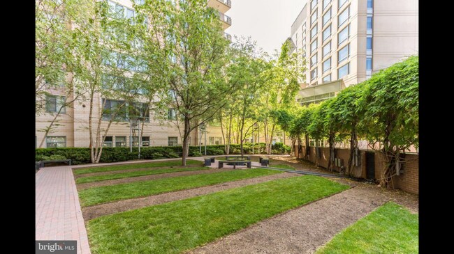 Green space right outside your door! - 851 N Glebe Rd
