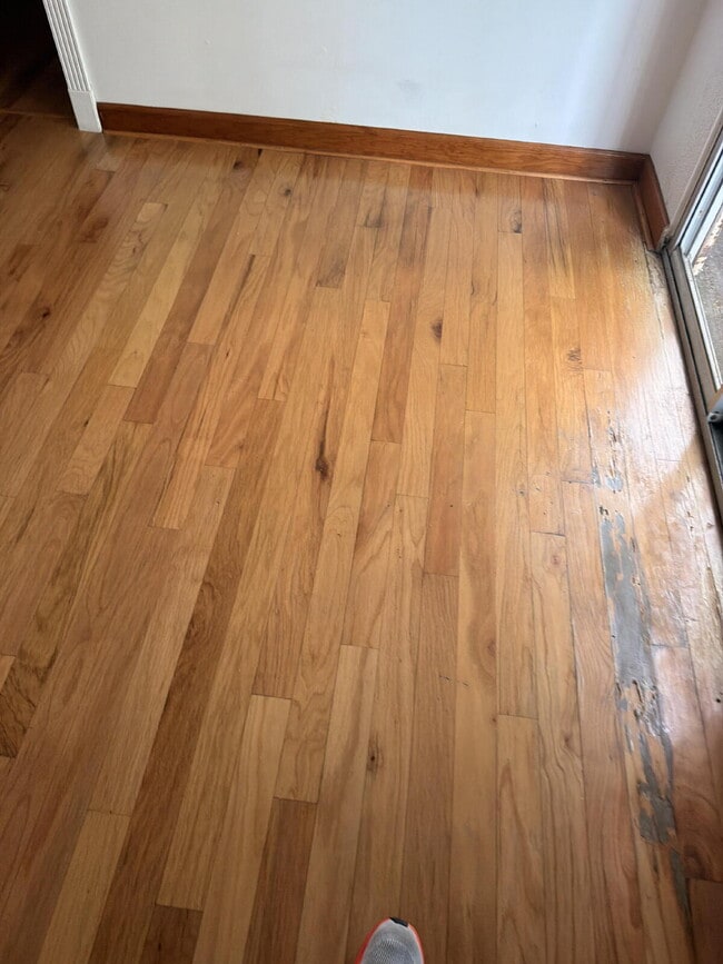 Building Photo - "Charming 1-Bedroom Retreat in Tampa - Cozy 650 Sq. Ft. Home Awaits!"