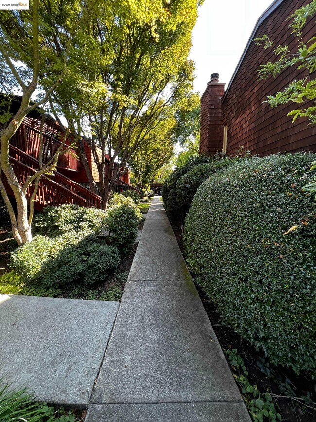 Building Photo - 1455 Latour Ln