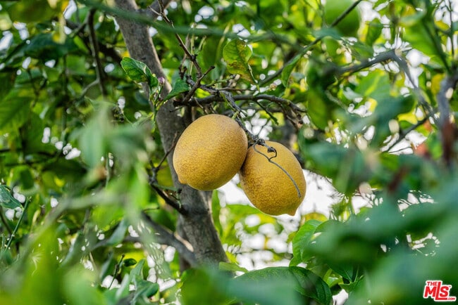 Building Photo - 686 Enchanted Way