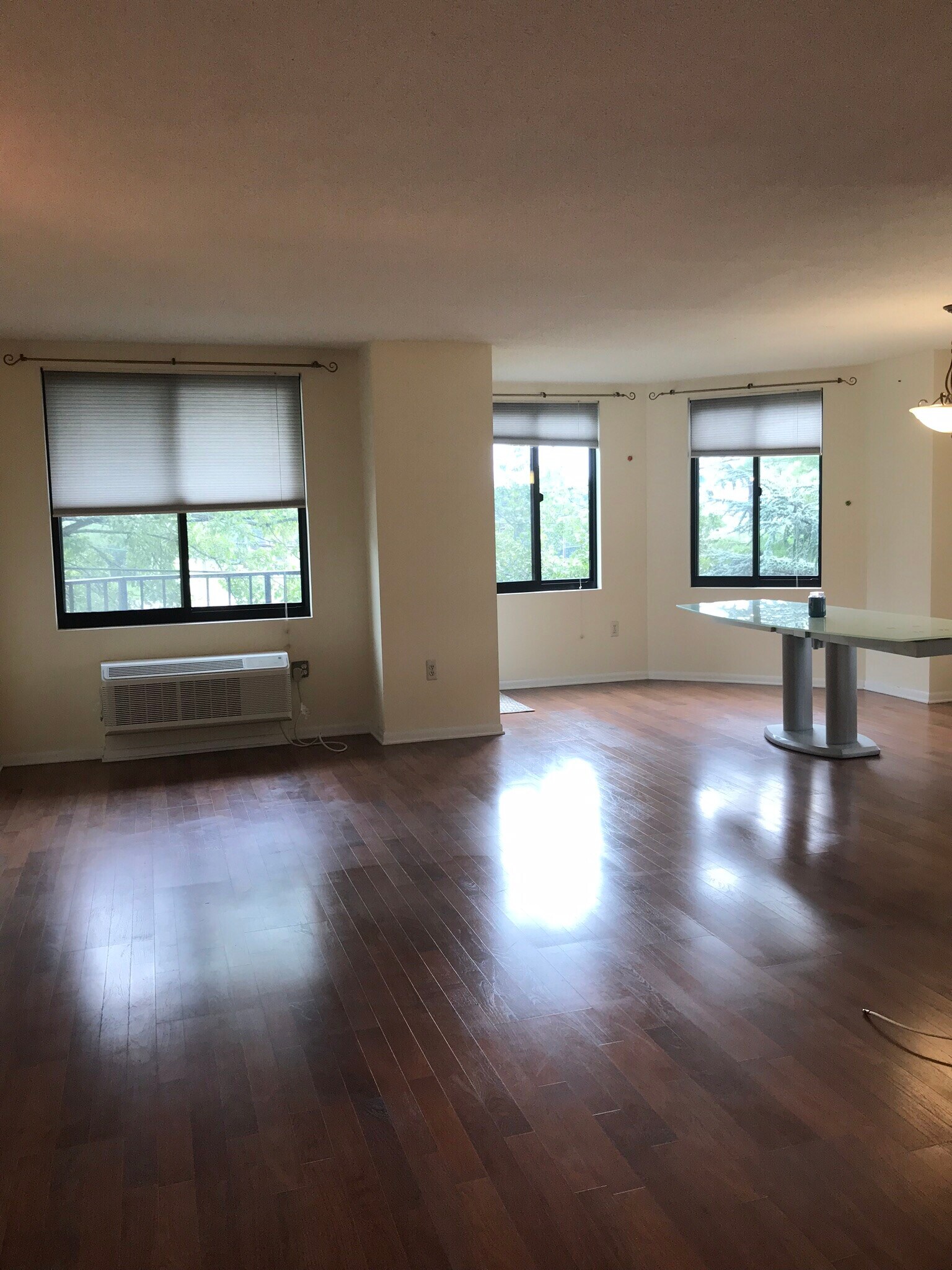living room - 115 Polifly Rd