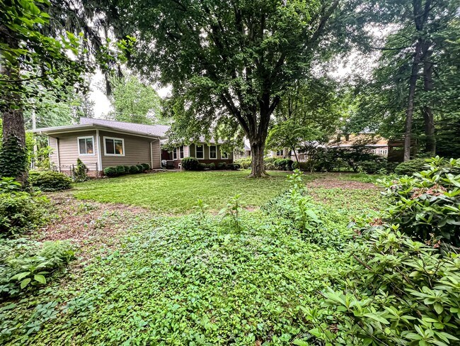 Building Photo - Sunny and Bright 4 Bedroom 3 Bath 2 Level ...