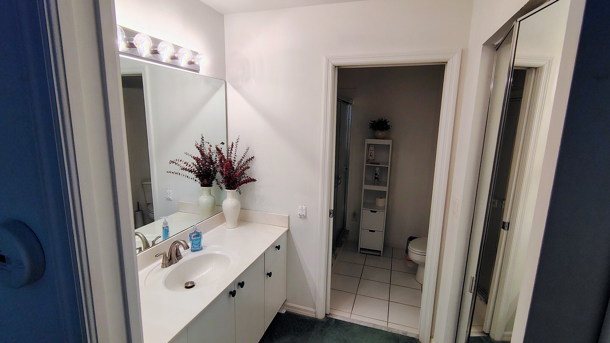 master bathroom - 582 Windsor Sq