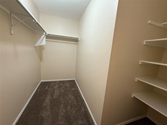 Building Photo - 8801 Tumbleweed Dr