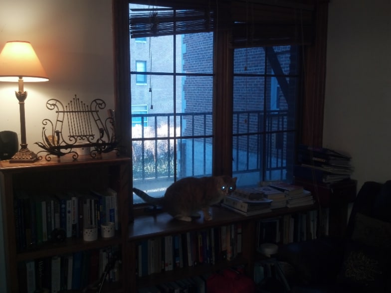 Building Photo - 103 W 39th St