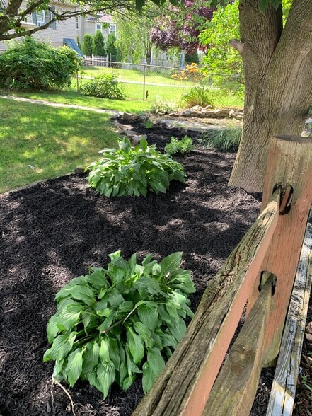Backyard - 934 Vine St