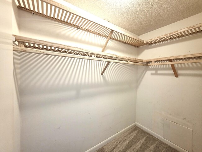 Building Photo - 88 Crooked Tree Ln