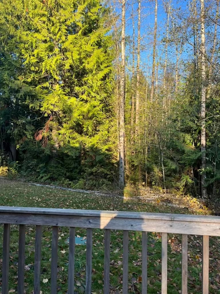 back yard - 15005 101st Ave NE