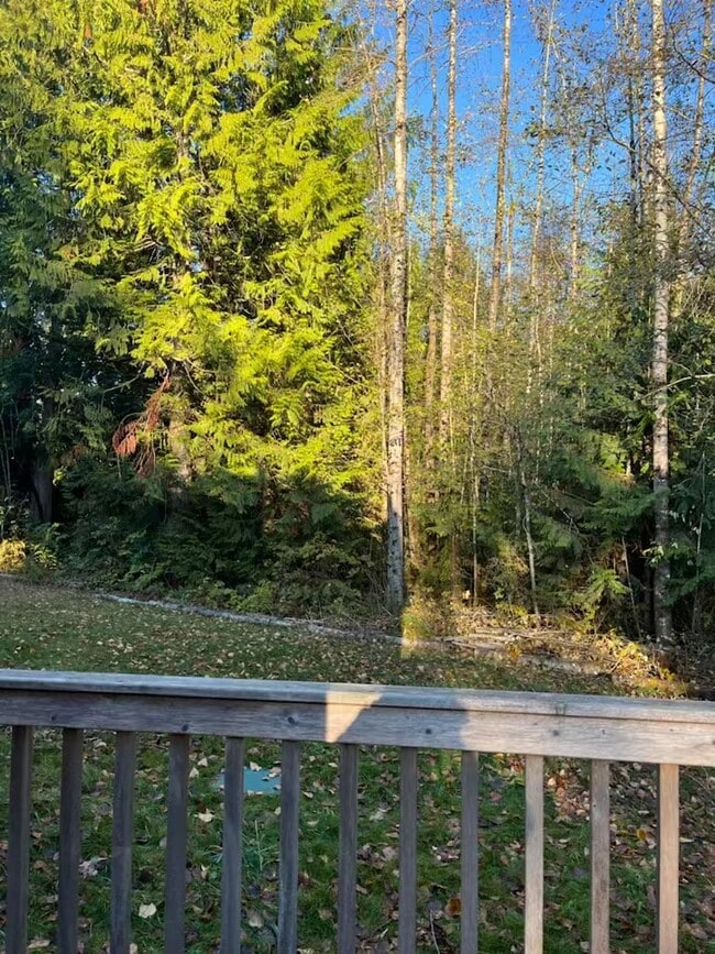 back yard - 15005 101st Ave NE