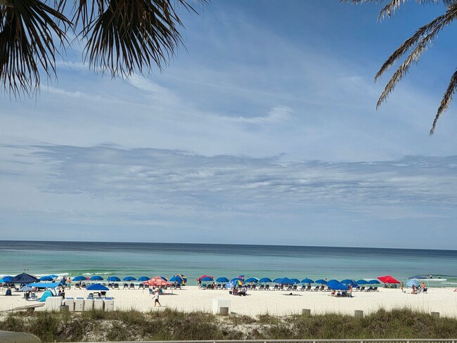 Building Photo - Gulf-Front Penthouse Living at The Shores ...