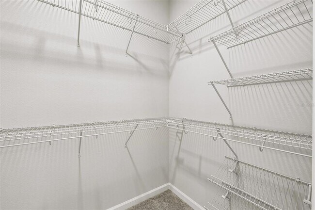 Building Photo - 502 Lady Palm St