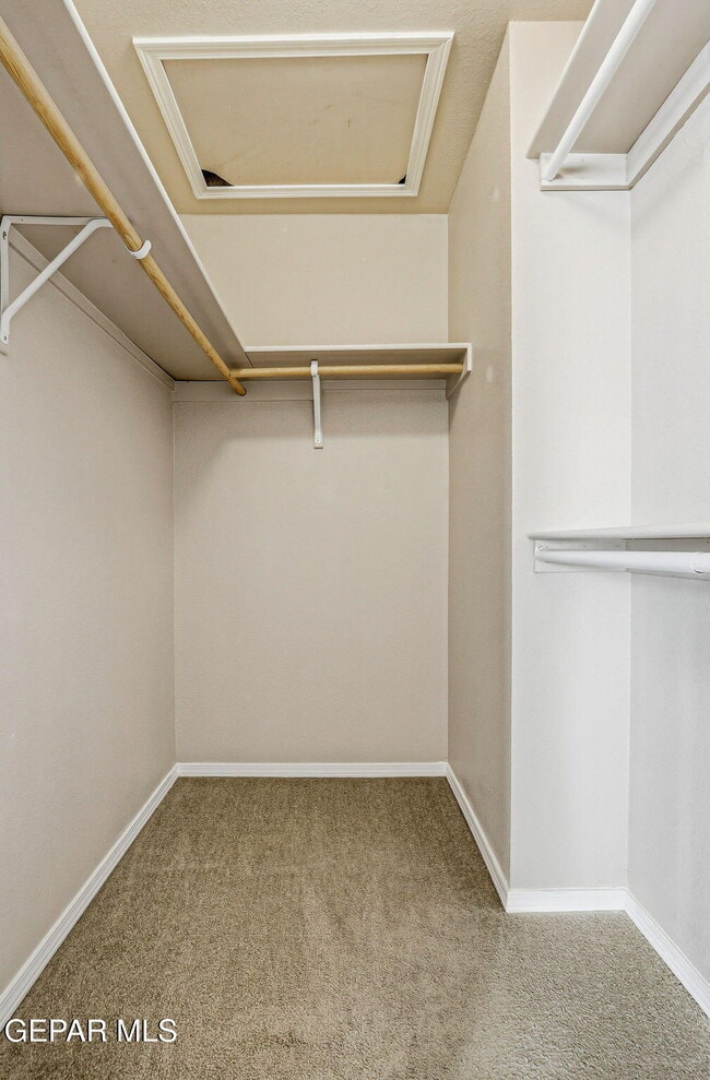 Building Photo - 3165 Sarina Cir