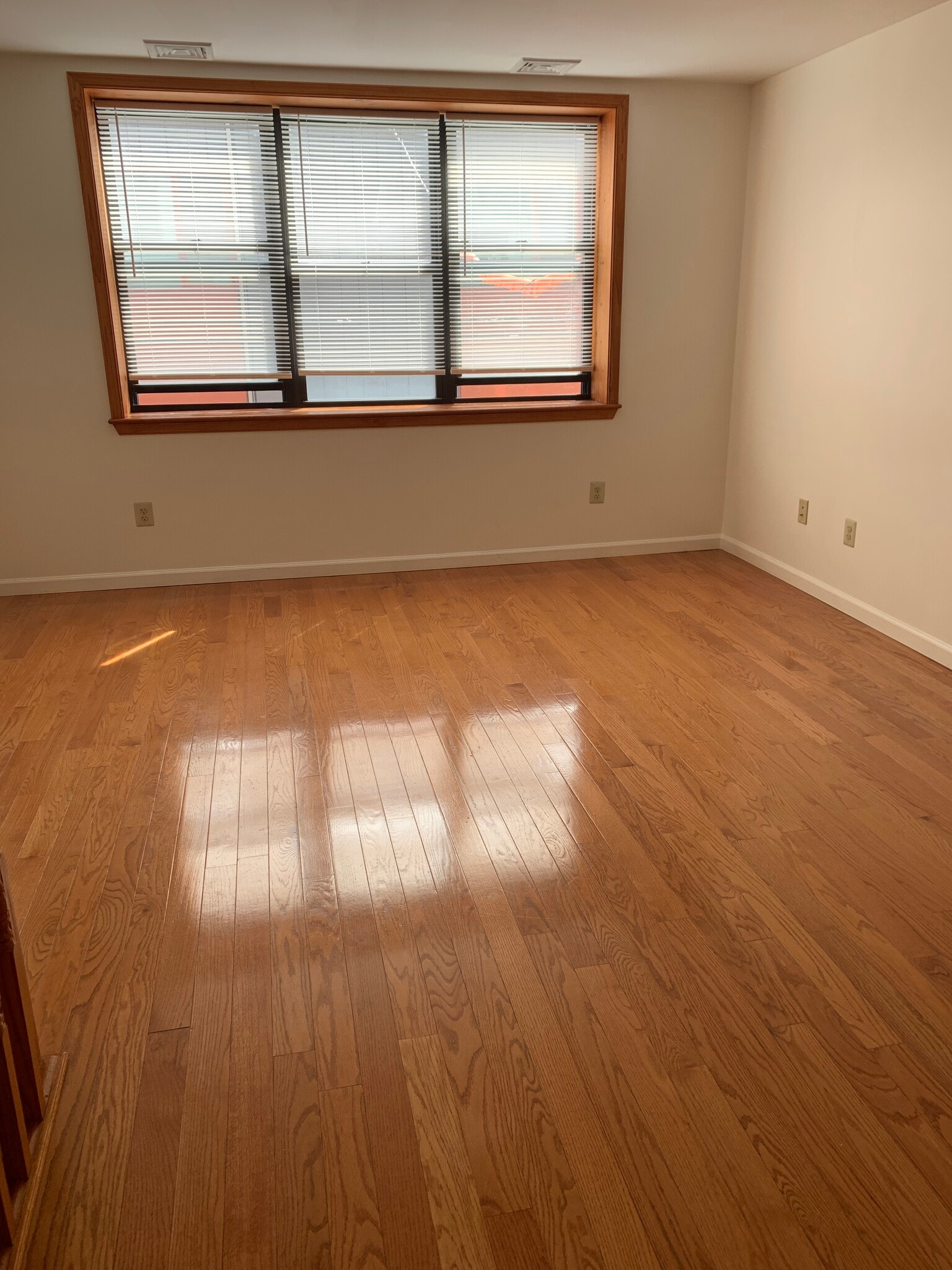 Living room space - 1229 Wood St
