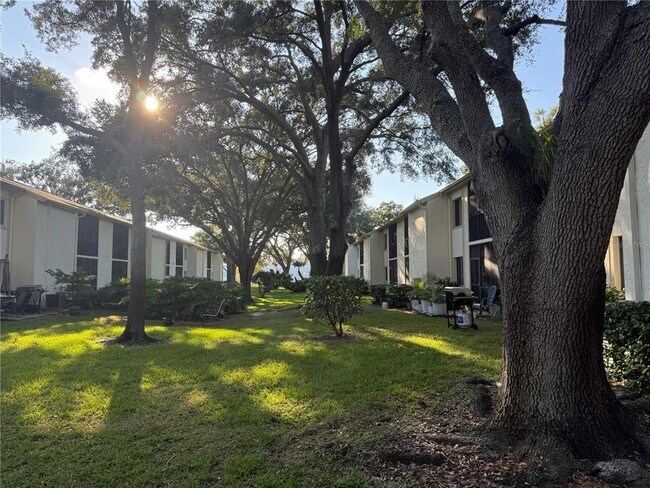 Building Photo - 208 Palmetto Ct