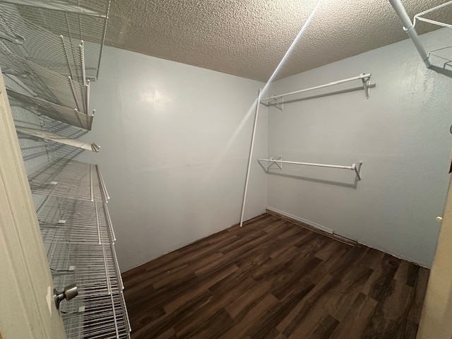 Building Photo - 12940 Alfredo Apodaca Dr