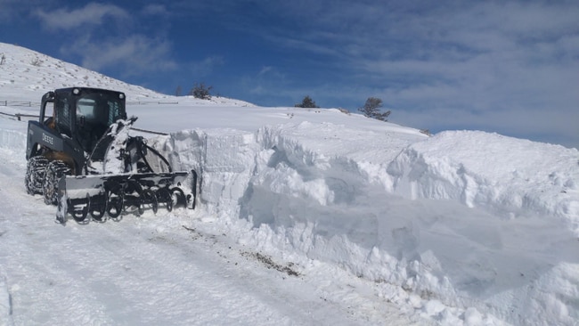 Building Photo - 77 Muir Rd