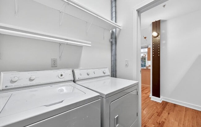 Building Photo - Stunning 3 bedroom Loft