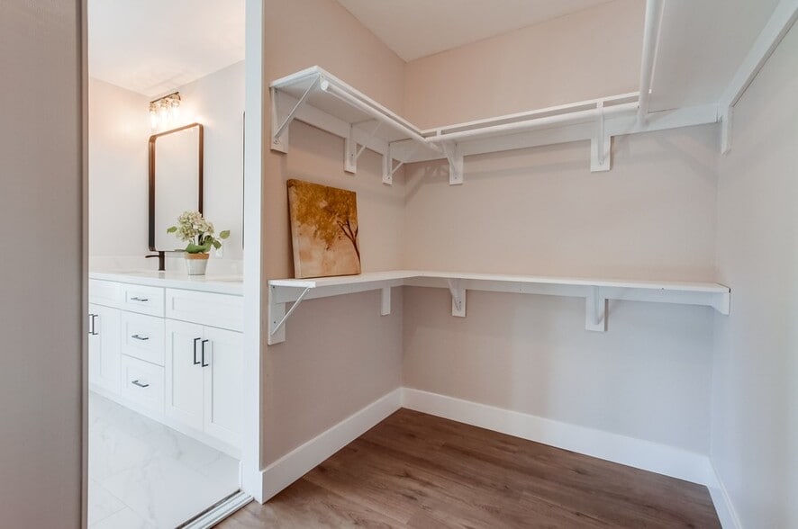 Primary walk-in Closet - 1278 Avenida Miguel