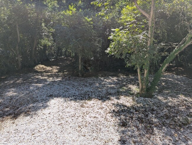 Building Photo - Totally Remodeled 2 Bedroom 1 Bath House-Furnished or Unfurnished ! Coming SOON!