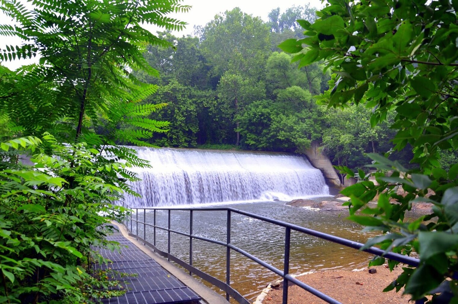 Building Photo - 7980 Blue Stream Dr