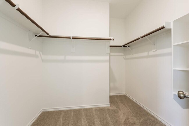 Building Photo - 16326 Vivid Creek Ct