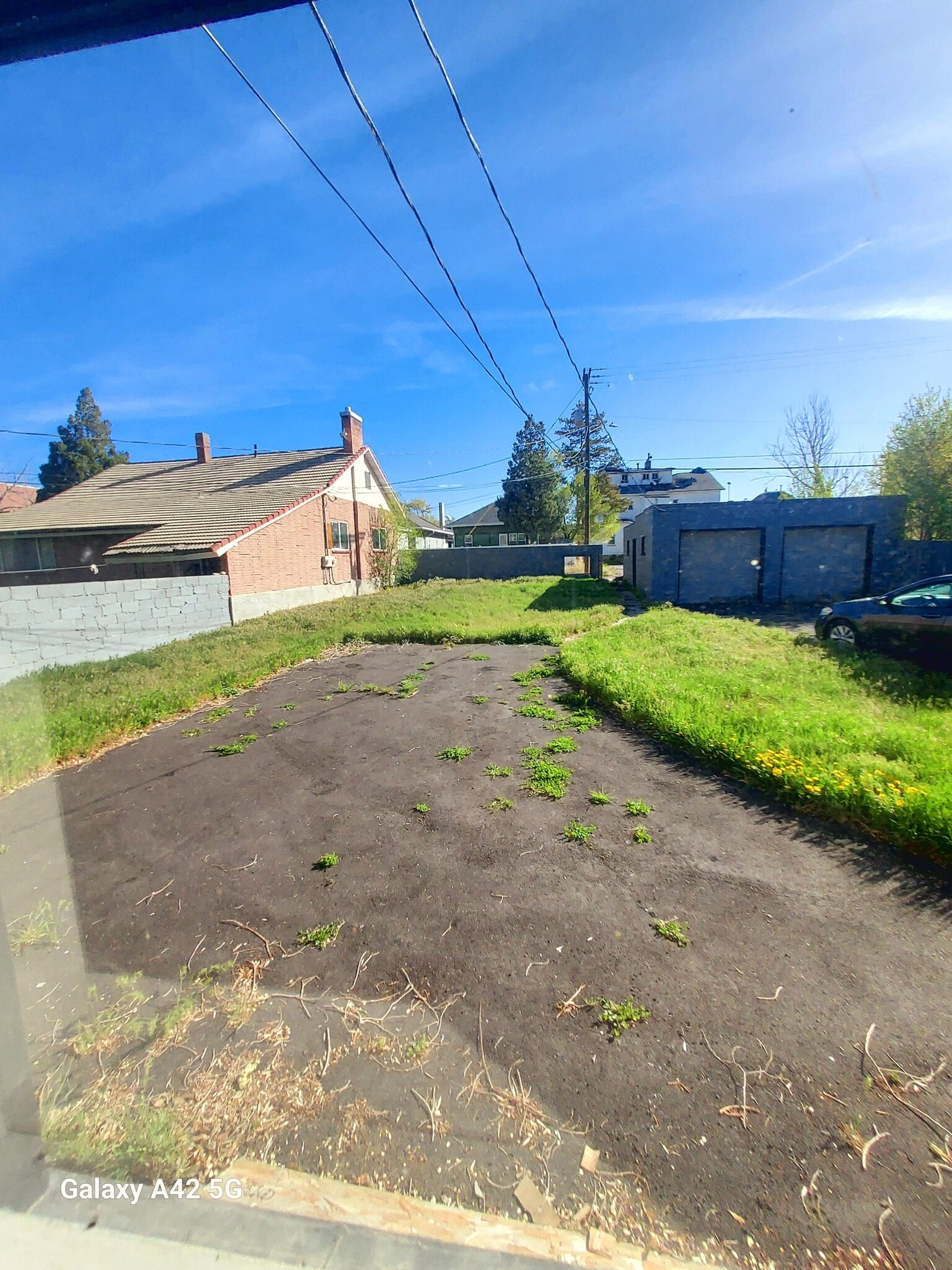 Back yard - 344 N Grant Ave