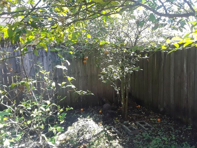 Building Photo - 1303 Candlewyck Dr