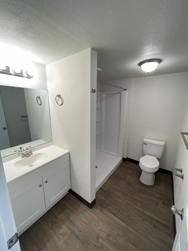 New bath with walking shower - 1805 NE Hillaire Ct
