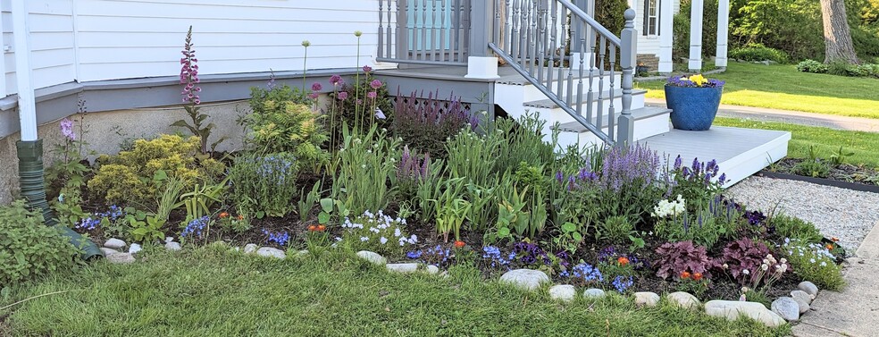 Front Garden - 232 Broadway