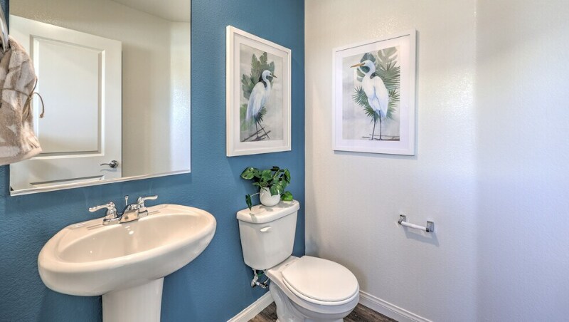 Building Photo - 2625 Dahlia Fls Ave