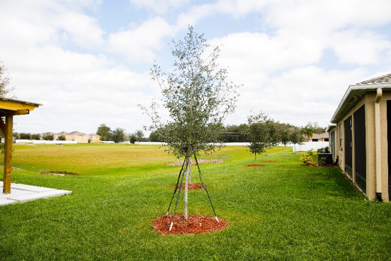 Building Photo - 13681 Paddington Wy