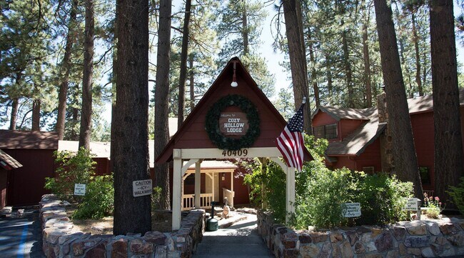 Primary Photo - Cozy Hollow Lodge