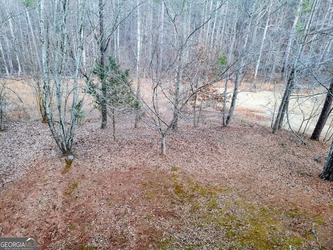 Building Photo - 1523 Fallen Leaf Dr SW