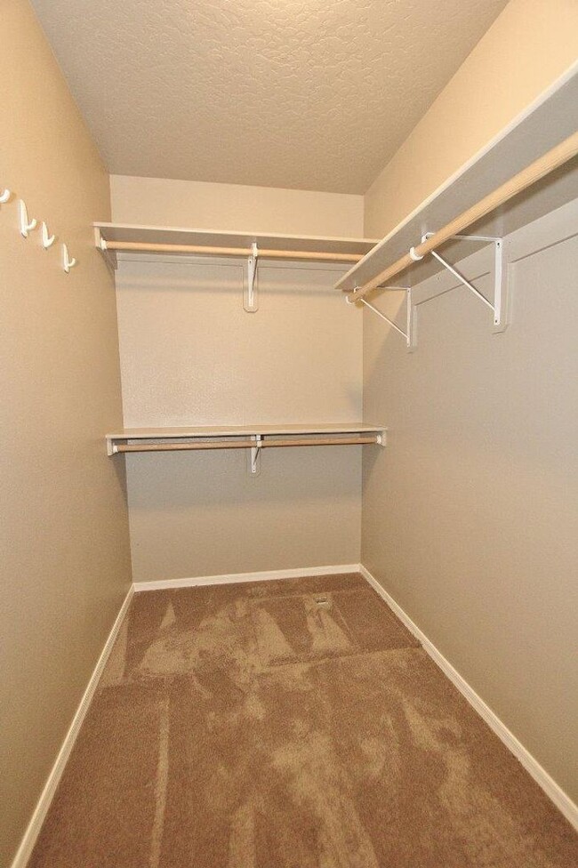 Building Photo - Immaculate Single-Level Home