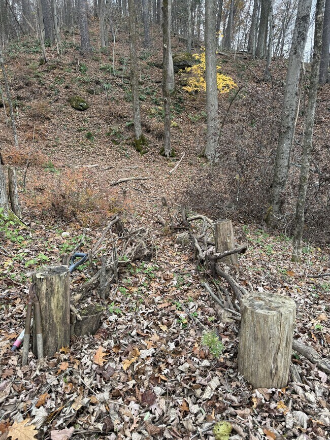 Building Photo - Beckley House