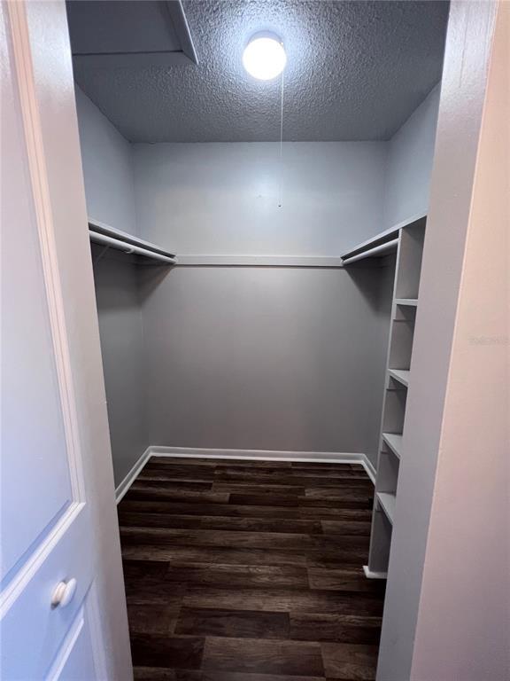 Building Photo - 6308 Newtown Cir