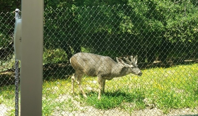 Building Photo - 2327 Dorothy St