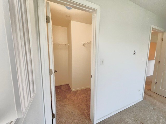 Building Photo - 1363 Cunat Ct